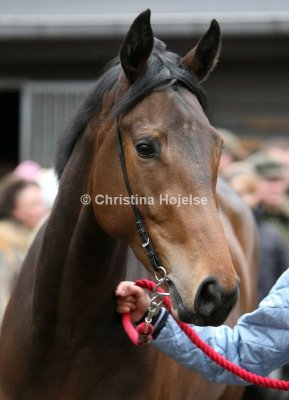 8976a.jpg (Miss Kelly)