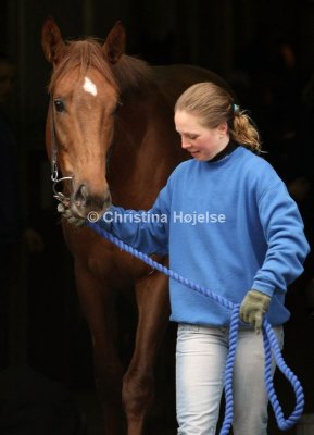 9347a.jpg (His Highness)
