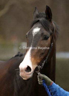 9414a.jpg (Clauses Cherie)