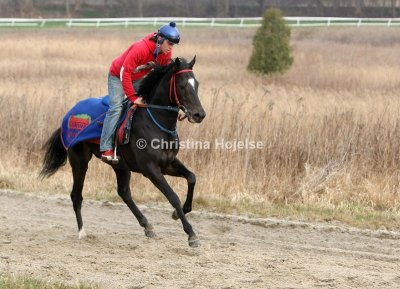 Klampenborg 2009-04-08 (Morning workout)