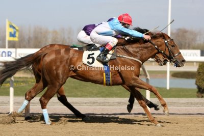 1088b.jpg (Moulli Cat & Major Gunn's)