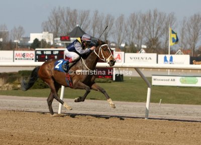 1187b.jpg (Crossfield Lad)