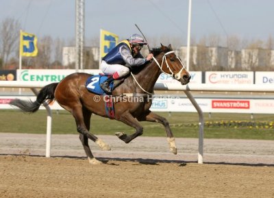 1191b.jpg (Crossfield Lad)