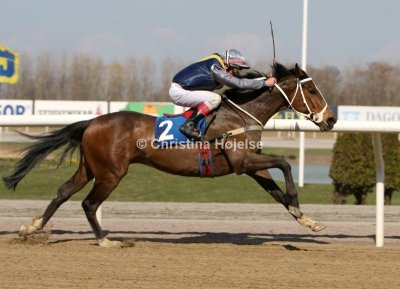 1196b.jpg (Crossfield Lad)