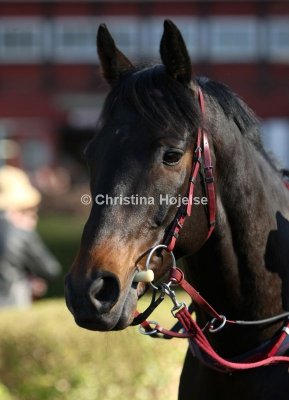 Klampenborg 2009-04-18 (Renewagy Åbningsløb)