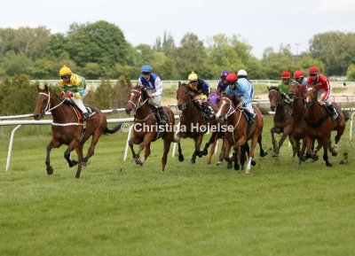 5618c.jpg (Derby Trial Stakes)