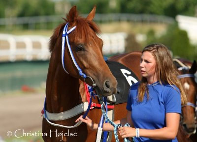 2802g.jpg (Golden Pacemaker)