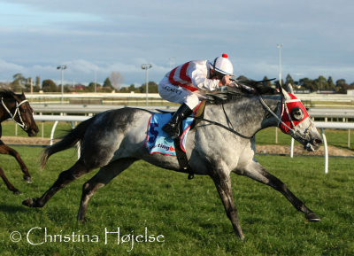 0704h.jpg (Jungle Ruler / Darren Gauci)
