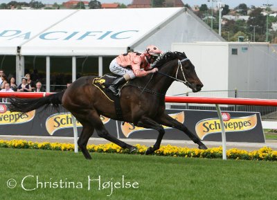 9320i.jpg (Black Caviar / Luke Nolen)