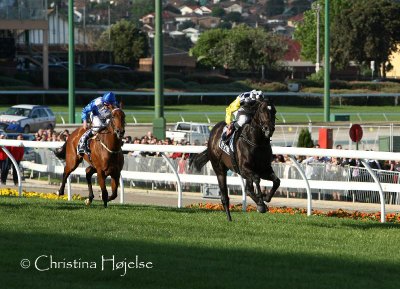 9809i.jpg (Tatts Cox Plate G.1 2040m - So You Think and More Joyous)