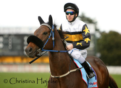 Caulfield racecourse, Melbourne 2010-09-18 (Underwood Stakes Day)