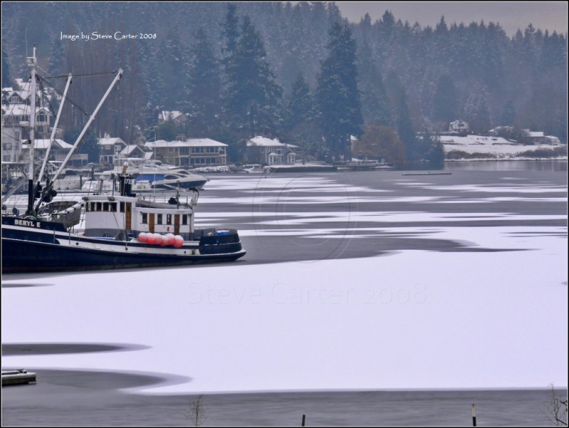 Frozen Gig Harbor