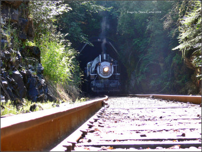 Chelatchie Praire Railroad exiting the tunnel