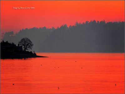 Fiery Sunset