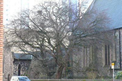 Cardif-Wales 587.jpg