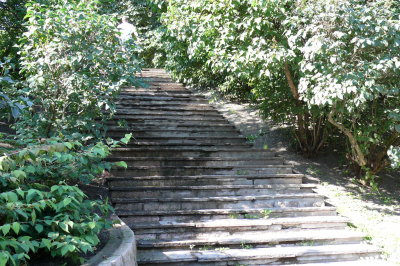 g1/11/902111/3/110037939.Y21Xshy1.jpg