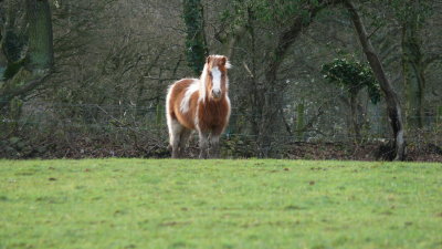 abergavenny_wales