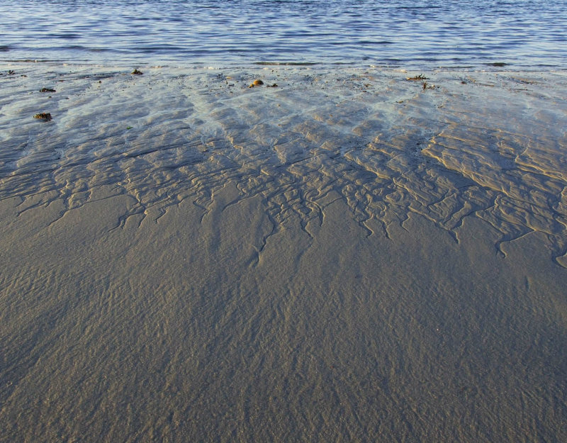 Sandy Neck beach