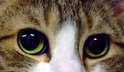 window to the soul