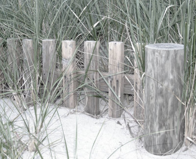 beach fence