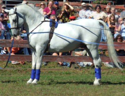 at attention