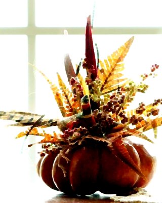 Pumpkin morf 67.JPG