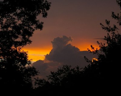 Sunset M5017 sm.JPG