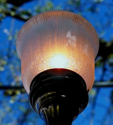 Lamp post poster sm.JPG