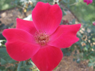 RIMG0956.jpg