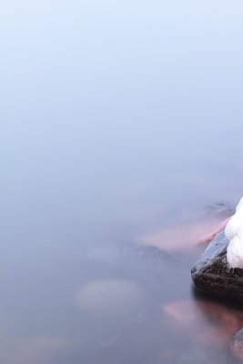 A quiet morning I