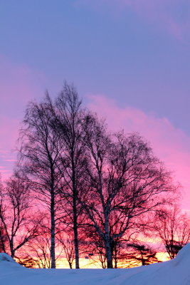 That one morning V
