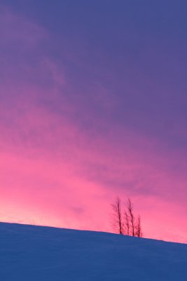 That one morning II