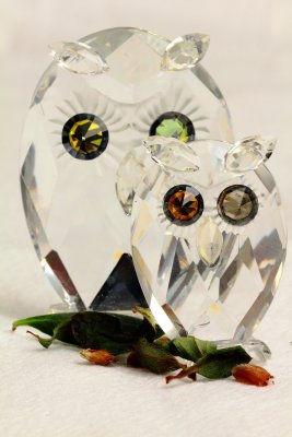 Owls