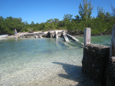 IMG_7829.JPG