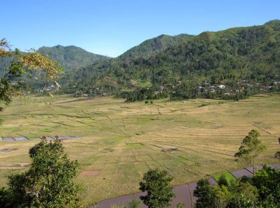 Spider fields, Ruteng