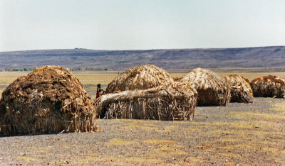 Huts, Lake Turkana