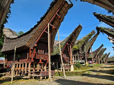 Tana Toraja