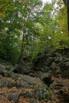 Trail through the Purgatory Chasm
