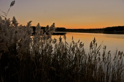 Sunset on Sengekontackel pond