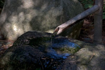 Mytoi Japanese garden