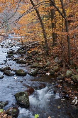 Hudson brook, fall