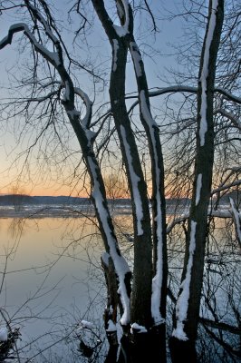 Winter first light