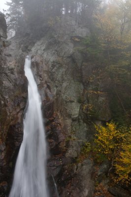 Glen Ellis falls in the mist