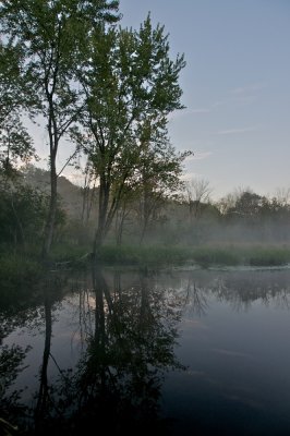 Morning mist on the flats