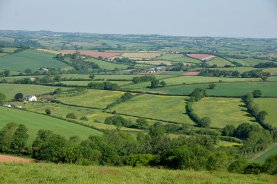 View from Raddon hill