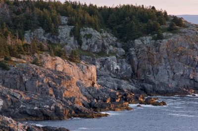 Cliffs at Blackhead