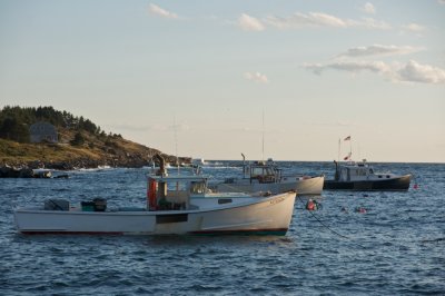 Lobster boats, evening light