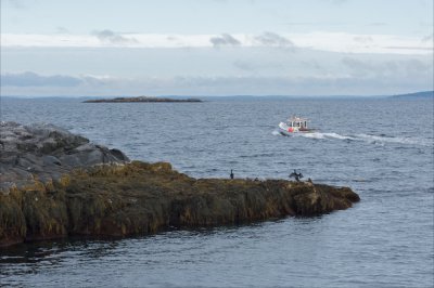 Heading out to sea