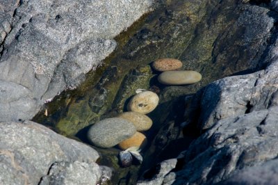 Rock pool