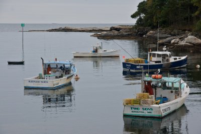 Lobster boats